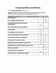 Image result for Mitosis and Meiosis Comparison Worksheet