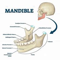 Image result for Small Jawbone