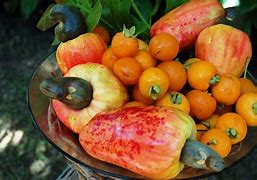 Image result for Pipa Fruit Rsda Nutriants