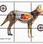 Image result for Deer Vitals Target Printable