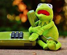 Image result for Kermit On the Phone