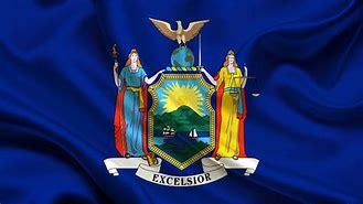 Image result for State Flag of New York