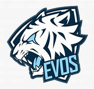 Image result for Logo Evos HD