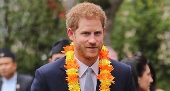 Image result for Prince Harry Package