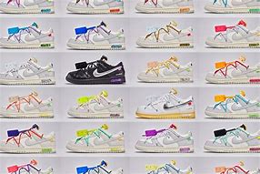 Image result for Nike Dunk Shoe