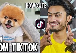 Image result for How to Draw Jiffpom