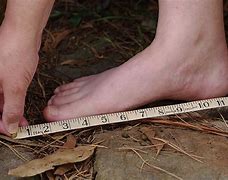 Image result for Four Feet Two Sandals