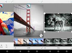 Image result for Adobe Photoshop Mix