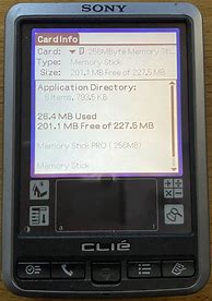 Image result for Memory Chip in Palm