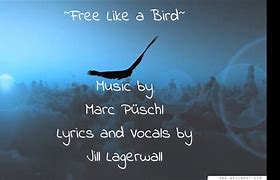 Image result for Feel Free Like a Bird
