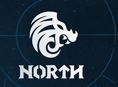 Image result for The North Group Logo