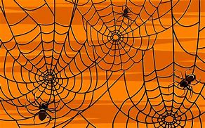 Image result for Halloween Spider Wallpaper