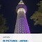 Image result for Osaka River Lights