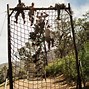 Image result for Army Climbing Rope