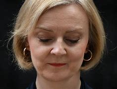 Image result for Liz Truss in Parliament