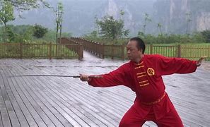 Image result for Kung Fu Styles Amazing Kum Fu