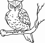 Image result for Owl Coloring Pages for Kids