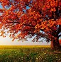 Image result for Fall WebEx Background