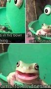 Image result for Dank Frog Memes