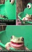 Image result for Frog Meme for Kids