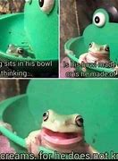 Image result for Cheems Frog Meme