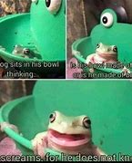 Image result for Discord Frog Meme