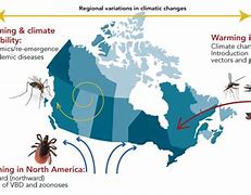 Image result for site:www.canada.ca