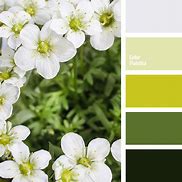 Image result for Lime Green Wedding Colors