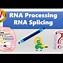 Image result for RNA Splicing