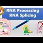 Image result for Splicing