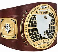 Image result for AEW Replica Belts