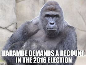 Image result for Funny Harambe Memes