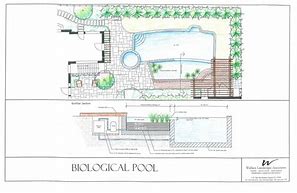Image result for Natural Swimming Pool Drawings
