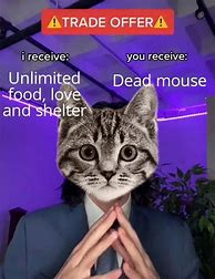 Image result for Cat Trade Offer Meme