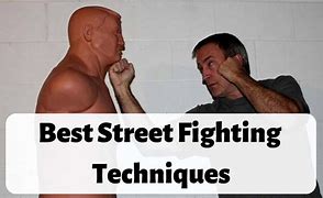 Image result for Top 10 Fighting Teanics