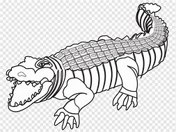 Image result for Crocodile Hatching