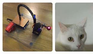 Image result for Cat Laser Robot