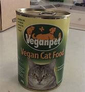 Image result for Vegan Cat Food