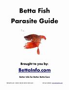 Fish Parasites に対する画像結果