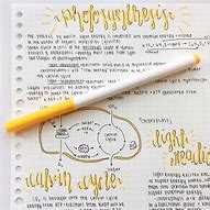 Image result for Calligraphy Notes