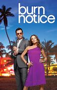 Image result for Burn Notice Today Show