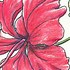 Image result for Free Flower Drawings