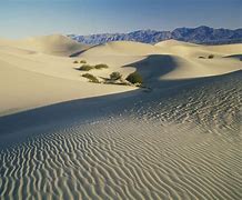 Image result for North America Desert