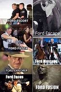 Image result for Ford Fiesta Meme