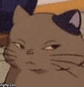 Image result for Boss Eyed Cat Meme