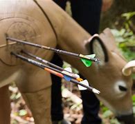 Image result for Kids Archery 3D Shoot