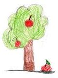 Image result for Apple Tree Drawing Easy