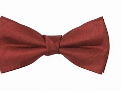 Image result for Burgundy Bow Tie