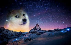 Image result for Spaced Out Dog Meme