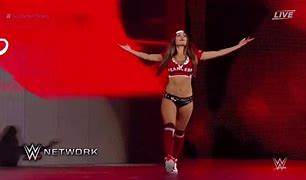 Image result for WWE Nikki Bella SummerSlam